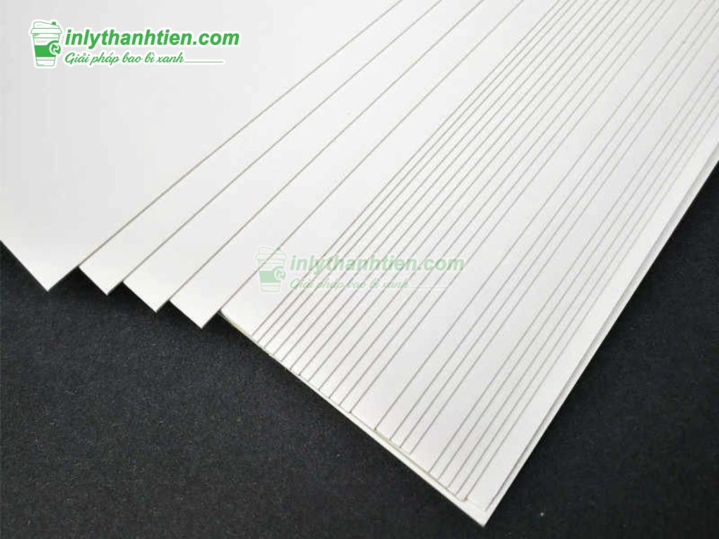 Giấy Fort Là Gì? Đặc Điểm & Ứng Dụng Trong In Ấn