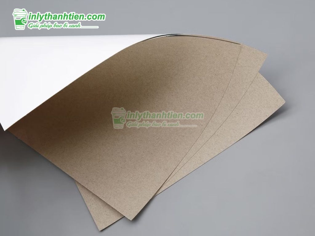 Giấy Ivory Kraft