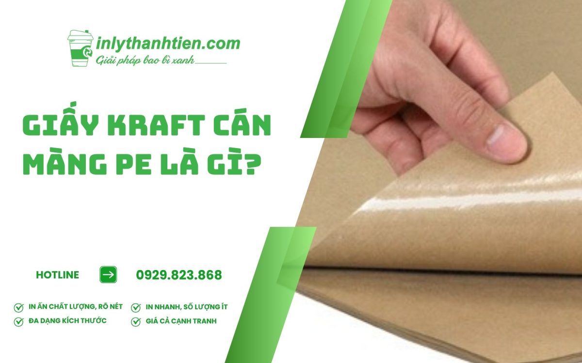 giấy kraft cán màng pe là gì