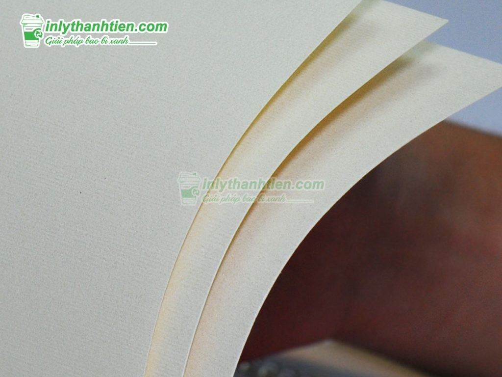 giấy mỹ thuật là giấy gì