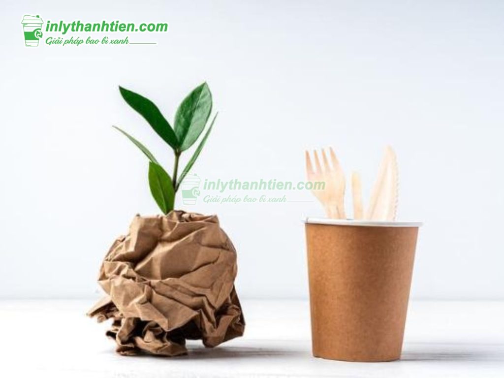 Ứng Dụng Của Giấy Tái Chế Hiện Nay