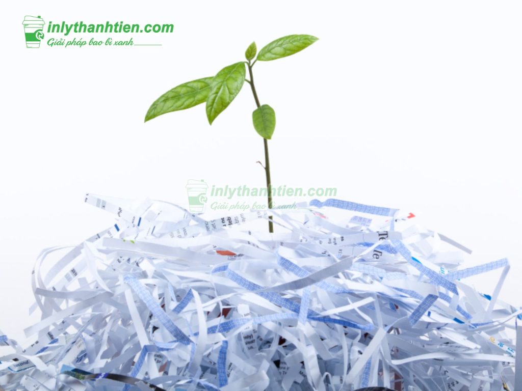 Đặc Điểm Của Giấy Tái Chế