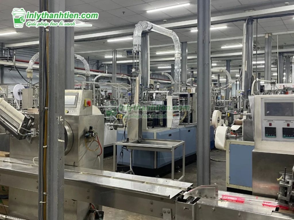 Các Tiêu Chuẩn Và Quy Định Trong Việc Sản Xuất Ly Giấy