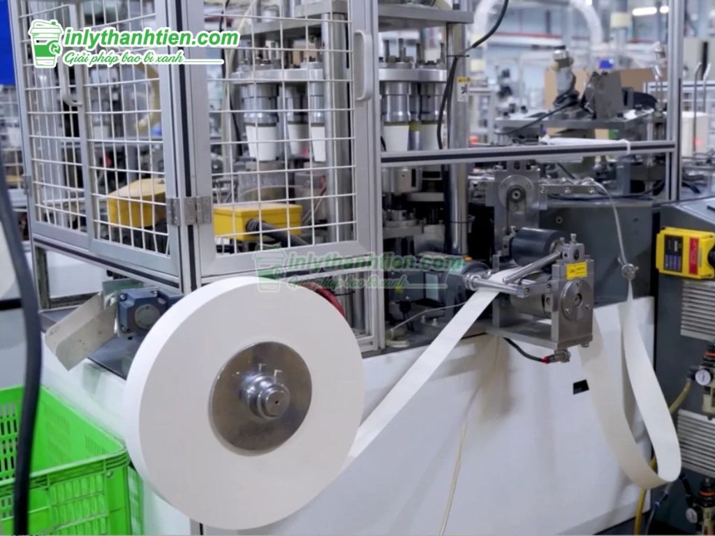 Quy trình sản xuất ly giấy, cốc giấy chất lượng