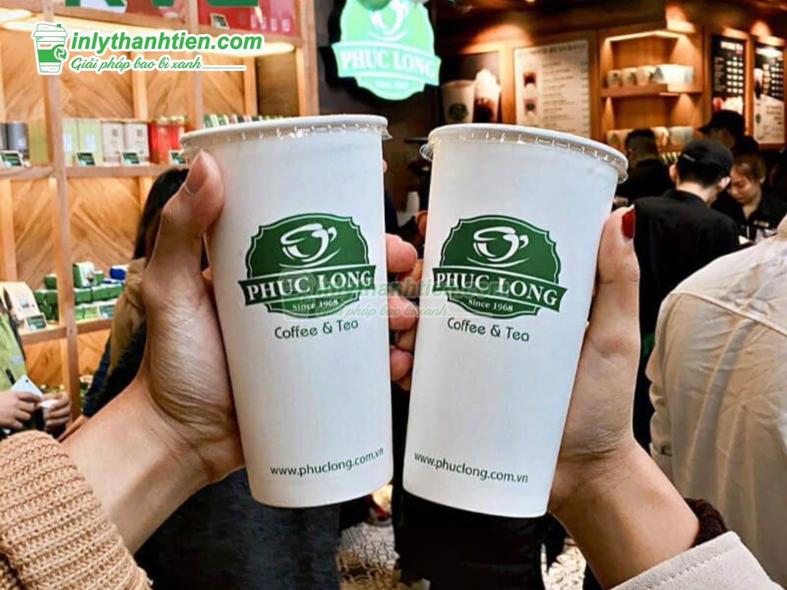 Ly giấy Phúc Long màu sắc đẹp mắt