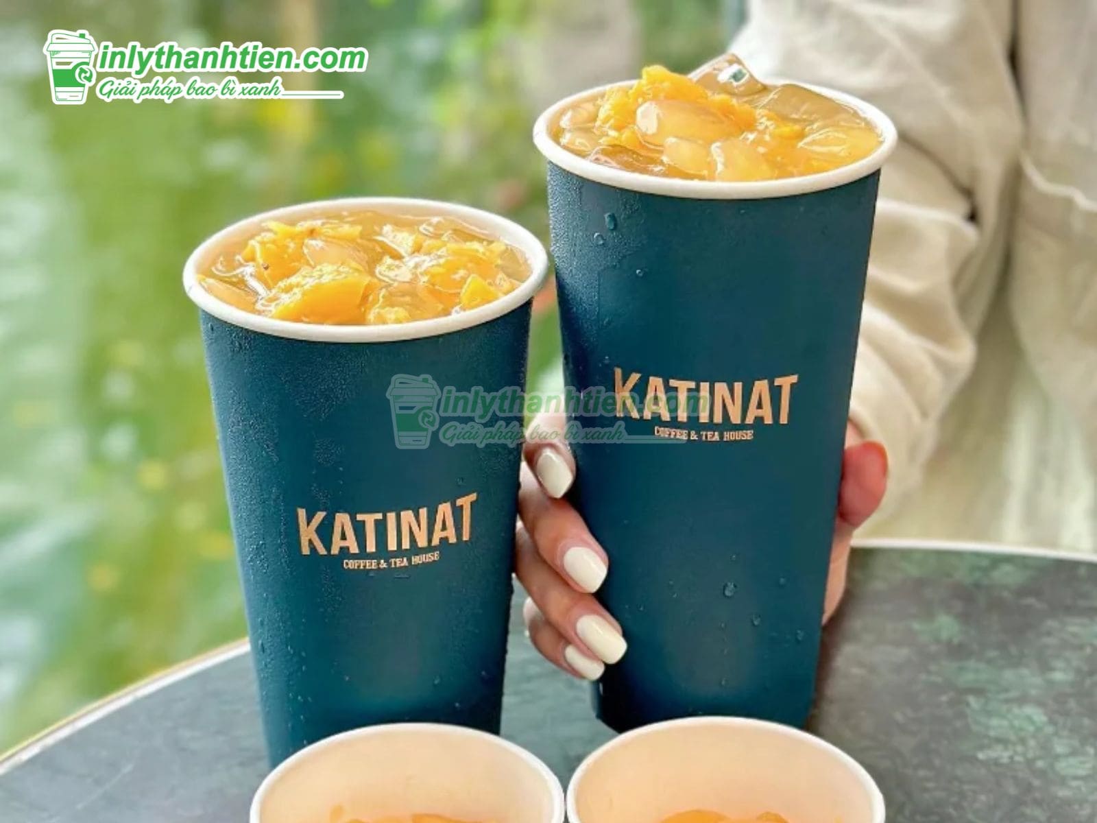 Mẫu ly giấy Katinat cơ bản, phổ biến