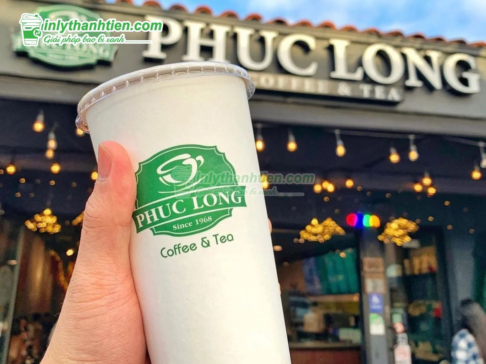 Nguyên liệu giấy dùng để sản xuất ly giấy Phúc Long