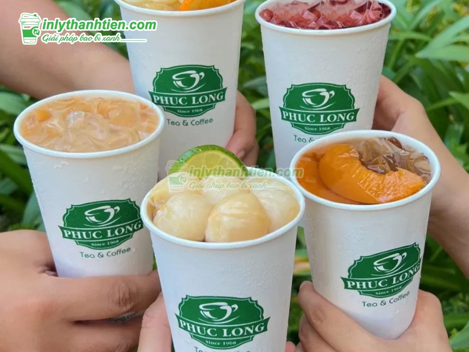 Thiết kế độc đáo, đẹp mắt của ly giấy Phúc Long