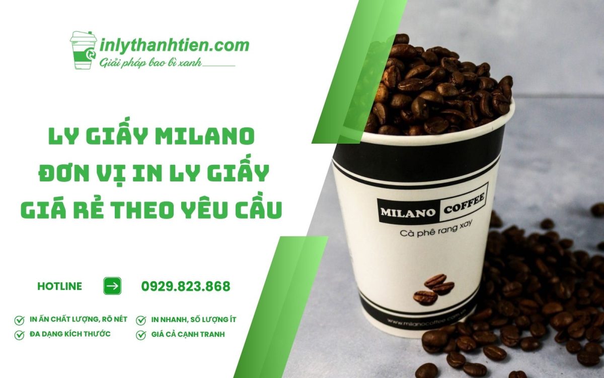 ly giấy milano đẹp